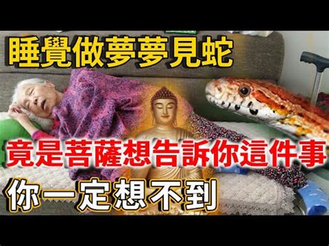 看到蛇|【看見蛇代表什麼】看見蛇代表什麼？民俗專家揭露傳統文化中的。